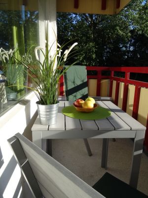 bietet den Blick ins grüne und den dahinter liegenden Deich. - Bild 3: FeWo Möwenkoje Strandlage Cuxhaven Duhnen, Kinder willkommen, WLAN