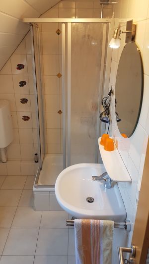 Badezimmer mit Dusche, Handtücher, Zahnputzbecher, Fön - Bild 13: Ferienwohnung Irene Großefehn-Strackholt
