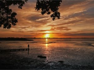 Bild 19: Ferienwohnung Die Muschel im Nordseebad Dangast