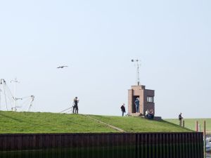 Bild 16: Ferienhaus Wattlöper - elegantes Haus für 4 Personen in Dangast