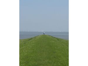 Bild 14: Ferienhaus Wattlöper - elegantes Haus für 4 Personen in Dangast