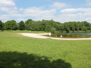 Bild 17: Ruhig gelegene Ferienwohnung Strebel in Bockhorn - ausspannen und relaxen