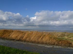 Bild 20: Modern eingerichtetes Ferienhaus Jadetraum für bis zu 6 Personen in Dangast
