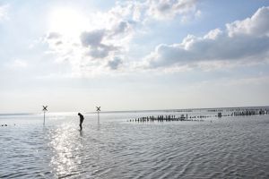 Ruhe und Entspannung am Wasser. - Bild 20: Schönes Ferienhaus m. großem, eingezäunten Garten Stinteck / Büsum Nordsee