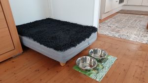 Bild 13: freistehendes Ferienhaus mit Hund bis 6 Pers. an der ostfriesischen Nordsee