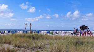 Bild 32: freistehendes Ferienhaus mit Hund bis 6 Pers. an der ostfriesischen Nordsee