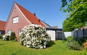 Bild 3: freistehendes Ferienhaus mit Hund bis 6 Pers. an der ostfriesischen Nordsee