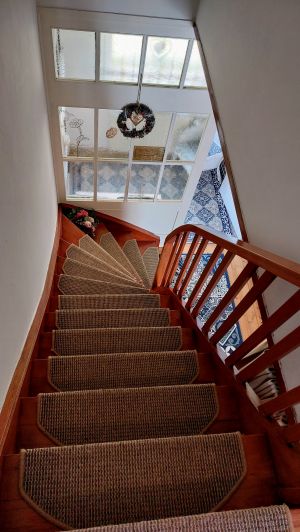 Bild 18: freistehendes Ferienhaus mit Hund bis 6 Pers. an der ostfriesischen Nordsee