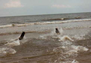 Bild 13: Fischerkate am Strand von St. Peter-Ording