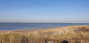 Bild 4: Ferienhaus Stern in Zeeland urgemütlich und Strandnah