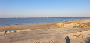 Bild 50: Ferienhaus Strandparel strandnah für Urlaubsgenießer