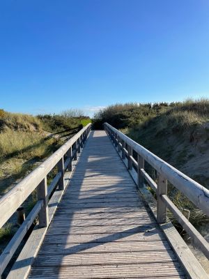Bild 12: Top Ferienwohung in direkter Deichlage 150m zum Strand Norddeich Nordsee