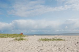 Der Sandstrand in Schillig ist 4 km von der Wohnung entfernt. - Bild 6: Alte Pastorei Minsen - Nordsee - 2 Personen