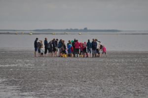 Erkunden Sie das UNESCO Weltnaturerbe Wattenmeer mit einem Wattführer. - Bild 8: Alte Pastorei Minsen - Nordsee - 2 Personen
