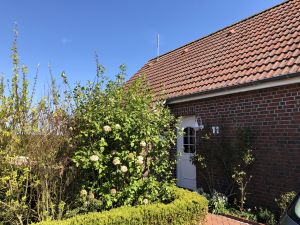 Bild 2: Urlaub im Friesenhaus Rose-Cottage in Greetsiel für max. 4 Personen