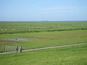 Bild 12: Doppelzimmer in Dagebüll