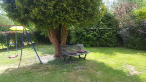 Außenbereich - Bild 17: Nordseebad Otterndorf * Ferienhaus Gust * WLAN * max 4 Personen