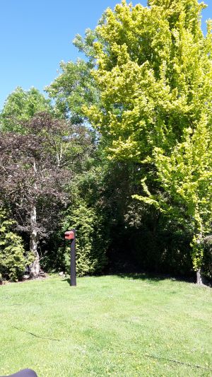 Gartenbereich - Bild 20: Nordseebad Otterndorf * Ferienhaus Gust * WLAN * max 4 Personen