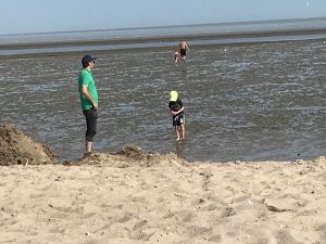 Es gibt immer etwas zu entdecken ... - Bild 10: Nordseebad Hooksiel - Strohhus Wohnung 2