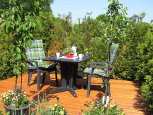 Gartenterrasse für die Gäste - Bild 3: Ferienhaus bis 2 Gäste mit Garten und Gartensauna in Ostfriesland