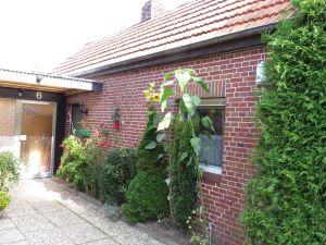 Hausansicht Ferienhaus Kutscher in Holtgast - Bild 4: Ferienhaus bis 2 Gäste mit Garten und Gartensauna in Ostfriesland