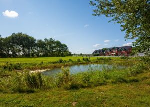 Bild 12: Erholungsurlaub an der Nordsee im Landhaus Wittmaack Dircks (Erdgeschoss)