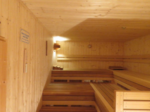 Bild: Ferienwohnung mit Terrasse und Sauna in Ostfriesland