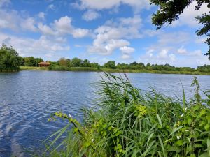 Bild 14: Ferienwohnung mit Terrasse und Sauna in Ostfriesland
