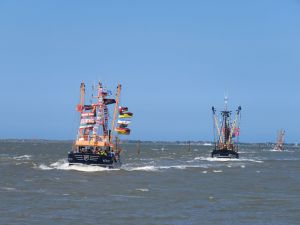 Bild 13: Ferienwohnung mit Terrasse und Sauna in Ostfriesland