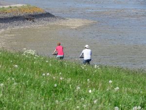Bild 15: Ferienwohnung mit Terrasse und Sauna in Ostfriesland