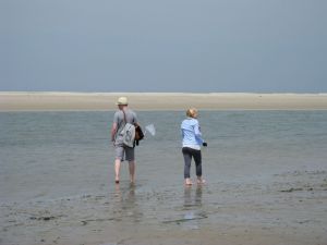 Bild 12: Ferienwohnung mit Terrasse und Sauna in Ostfriesland