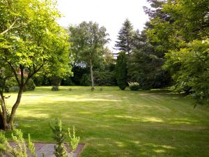 Der Blick von der Terrasse in den Garten ist einmalig und entspannend. - Bild 1: Studio mit Terrasse