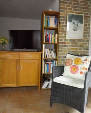 Bei uns finden Sie auch ein kleines Bücherregal zum Stöbern und entspannen. - Bild 3: Studio mit Terrasse