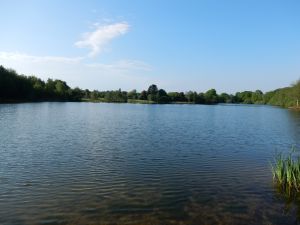 Bild 10: Ferienhaus Princesa- Urlaub mit Hund