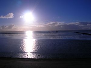 Bild 23: Ferienhaus Princesa- Urlaub mit Hund