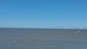 Bild 29: Ferienwohnung in Norddeich mit Blick auf die Nordsee und die Insel Juist