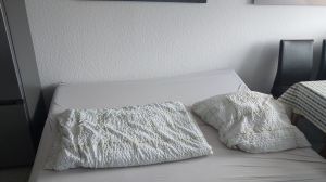 Bild 7: Ferienwohnung in Norddeich mit Blick auf die Nordsee und die Insel Juist