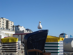 Bild 19: Haus Walfänger - 4-Sterne Ferienwohnung
