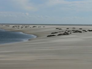 Bild 20: Haus Walfänger - 4-Sterne Ferienwohnung